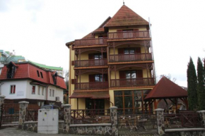 VILA URSU din SOVATA BAI -ALL INCLUSIVE- & SPA